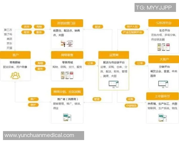 深入分析成都排球队的运营策略与市场推广模式